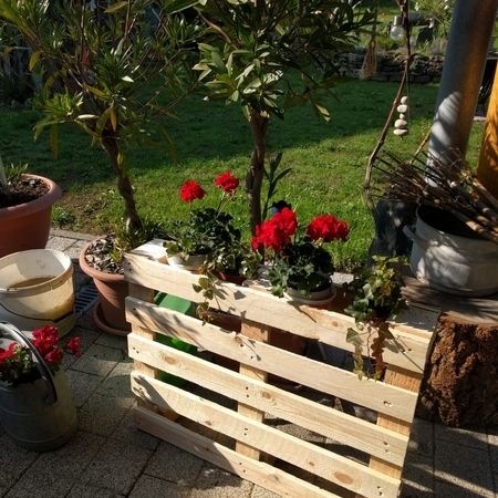 Palettenmöbel im Garten mit Pflanzen
