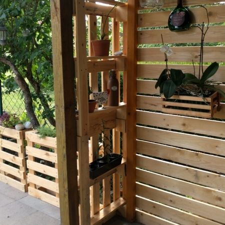 Palettenmöbel im Garten mit Pflanzen Wandverkleidung