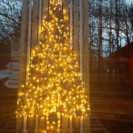 Ein beleuchteter Weihnachtsbaum auf Palette