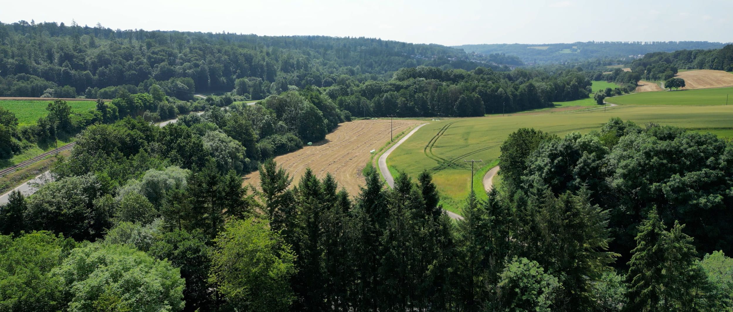 Draufsicht auf einen Wald